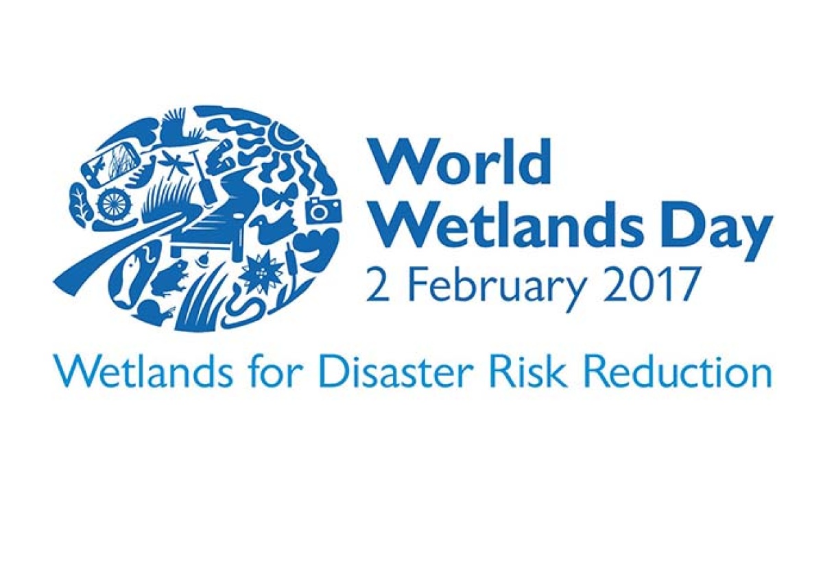 NEPA to Spearhead Events for World Wetlands Day