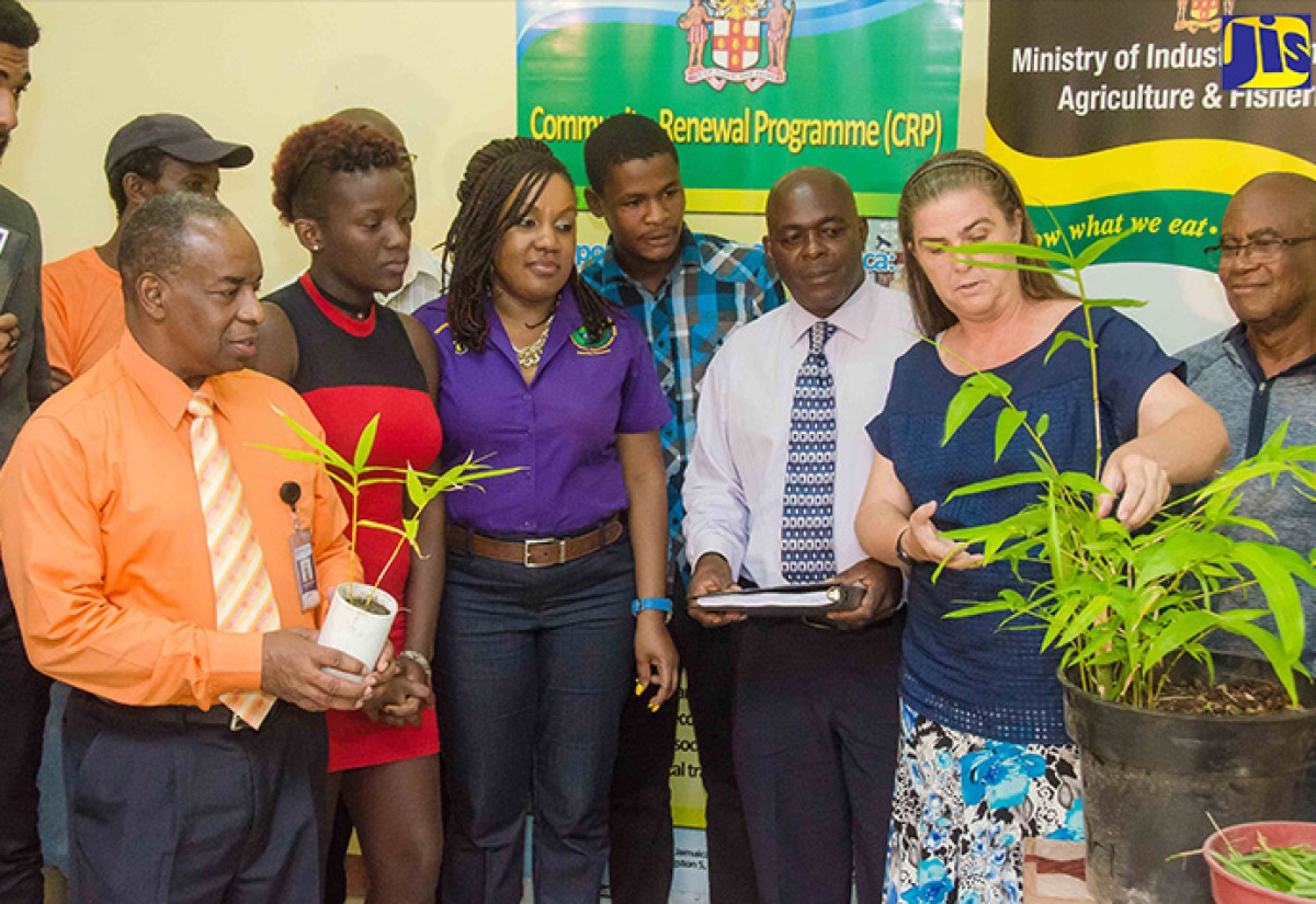 Scores trained under Peckham Bamboo Project