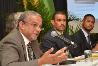 Director General of the Planning Institute of Jamaica (PIOJ), Colin Bullock (left), emphasises the importance of the e-Dashboard of National Indicators for the Vision 2030 National Development Plan, at the launch of the online tool, at the Jamaica Pegasus Hotel, in Kingston, on Wednesday, December 4. Others participating in the event are (from right): Research Assistant, JamStats Secretariat, Kirk Chambers; Programme Director, Plan Development Unit, PIOJ, Michael Lumsden; and Deputy United Nations Children's Fund (UNICEF) Representative, Deirdre Kiernan (partly hidden).