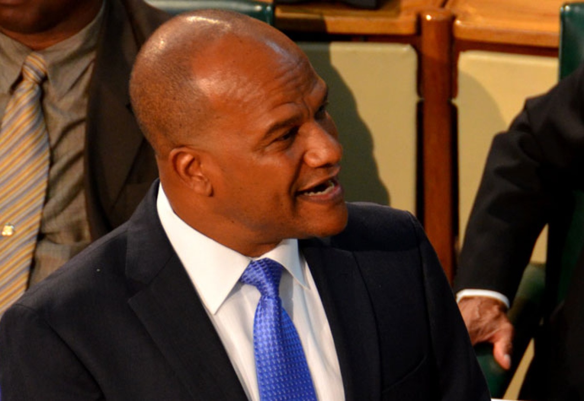 Minister of National Security, the Hon. Peter Bunting in parliament. (FILE)