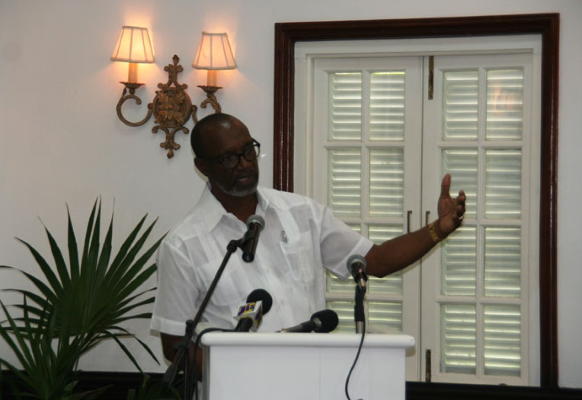 Jamaicans Must Understand Meaning of Sustainable Development – State Minister Fagan