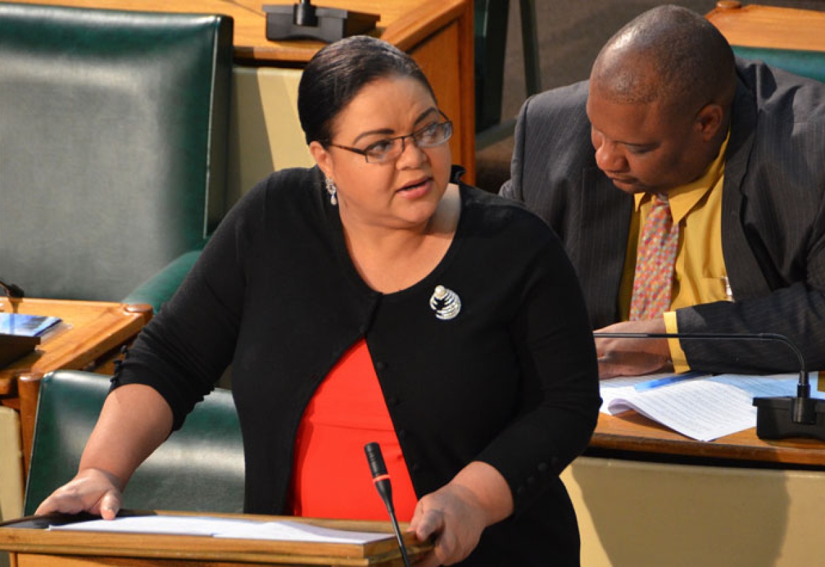 Minister with responsibility for Information, Senator the Hon. Sandrea Falconer makes her presentation during the debate on amendments to the Cybercrimes Act. The recommendations, contained in a report from the Joint Select Committee of Parliament, were adopted by the members of the Senate during its sitting on Friday, January 31.