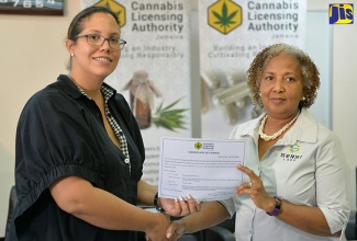 Chairman, Cannabis Licensing Authority of Jamaica, Hyacinth Lightbourne (left), presents Director and Secretary, Everyting Oily Labs, Claudine Liu, with a cannabis licence, at a  press conference on Wednesday (October 18), at the offices of the Ministry of Industry, Commerce, Agriculture and Fisheries in New Kingston.
  
