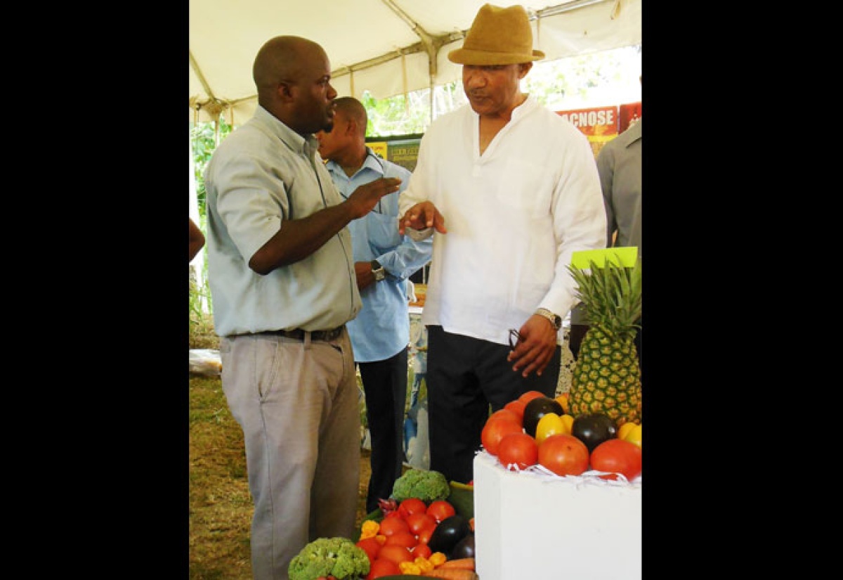 St. Elizabeth High on Food Production