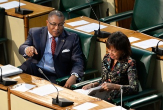 Minister of Industry, Investment and Commerce, Hon. Anthony Hylton (left), in conversation with State Minister in the Ministry, Hon. Sharon Ffolkes Abrahams, before  making a presentation in the 2014/15 Sectoral Debate in the House of Representatives, on May 21.