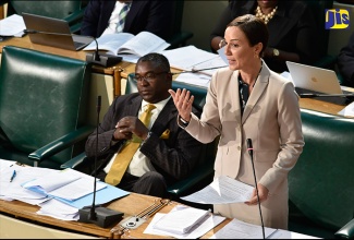 Minister of Foreign Affairs and Foreign Trade and Leader of Government Business in the Upper House, Senator the Hon. Kamina Johnson Smith (standing), clarifies a matter while speaking in  the Senate on Friday (November 10). Senators were deliberating on the National Identification and Registration Act, 2017, which seeks to establish a reliable National Identification System (NIDS) for Jamaicans. Also pictured is Government Senator, Kavan Gayle.

