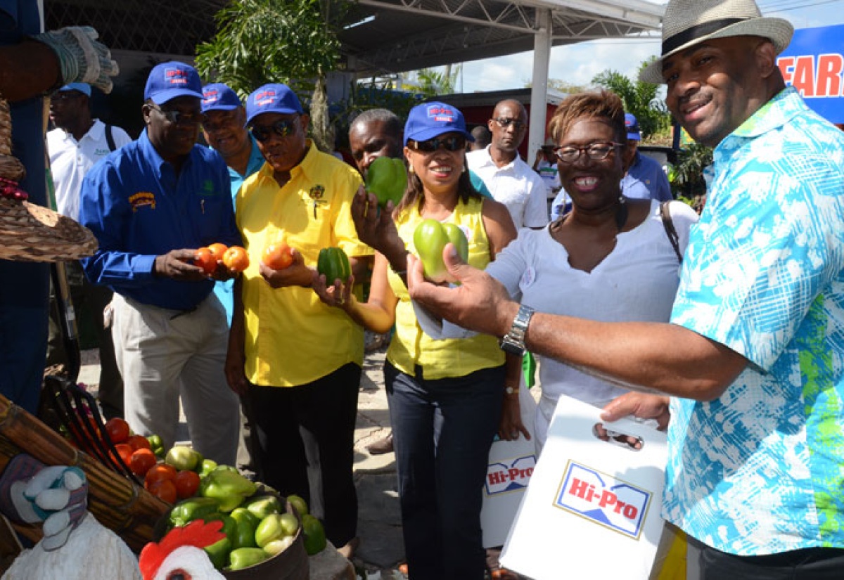 Agro Parks Have Transformed Agriculture in Jamaica – Minister Kellier