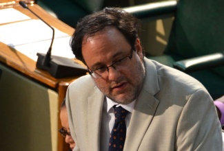 Minister of Justice, Senator the Hon. Mark Golding, addresses members of the Upper House on Friday (December 20).