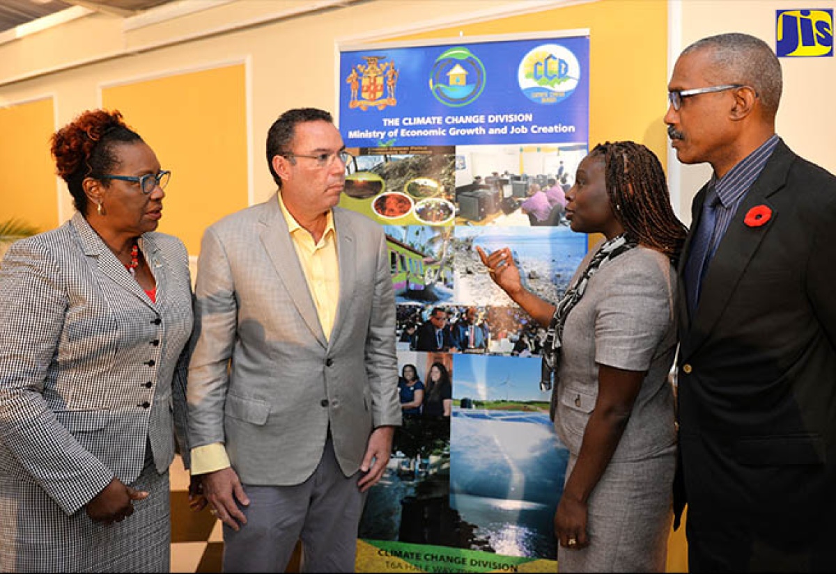 UNDP Lauds Jamaica’s Efforts on Climate Change