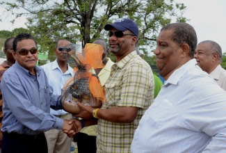 Local Government and Community Development Minister, Hon. Noel Arscott (left), makes a presentation of a basket of products from the Ebony Park Heart Academy in Clarendon, to the Bahamian Minister of Education, Hon. Jerome Fitzgerald; while Minister of Agriculture and Fisheries, Hon. Roger Clarke (right), looks on. The Ministers toured the Ebony Park Heart Academy and Agro Park on July 25, following a meeting at the school, to discuss the possibility of the Bahamas establishing agricultural schools in that country.
