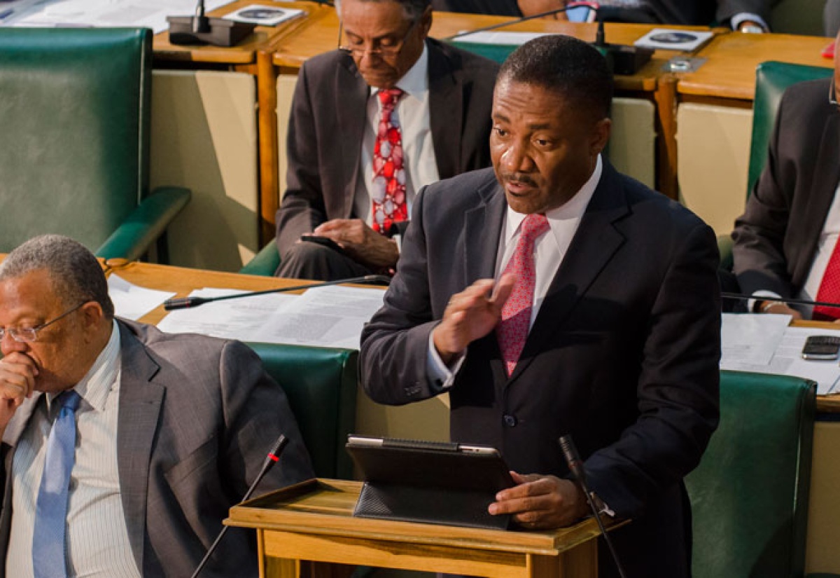 Minister of Science, Technology, Energy and Mining, Hon. Phillip Paulwell closed the 2013/14 Sectoral Debate in the House of Representatives on Tuesday, July 8.