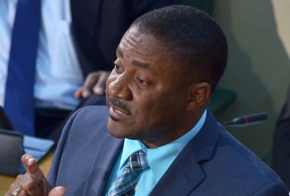 Minister of Science, Technology, Energy and Mining, the Hon. Phillip Paulwell. (FILE)