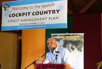 Minister of Water, Land, Environment and Climate Change, Hon Robert Pickersgill,  addresses the launch of the Cockpit Country Local Forest Management Plan, on Wednesday, December 11,  at the Lowe River United Church, in South Trelawny.