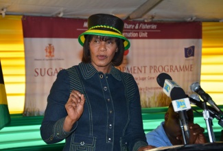 Prime Minister, the Most Hon. Portia Simpson Miller, addresses a ceremony for the handing over of new homes to sugar workers in Steelfield (Spicy Hill) Trelawny on February 6. Some 39 sugar workers benefited under the project, which comes under the European Union-funded Sugar Barracks Relocation project.
