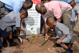 Minister of Education, Youth and Information, Senator the Hon. Ruel Reid (left) and Minister of Local Government and Community Development, Hon. Desmond McKenzie (right), assist two students of the Charles Chin Loy Basic School, in Kingston, with planting a tree, today (October 7), in observance of  National Tree Planting Day 2016. 