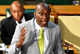 Education, Youth and Information Minister, Senator the Hon. Ruel Reid, makes his contribution in the Senate.