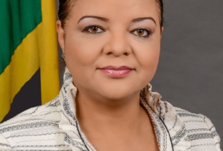 Minister Without Portfolio in the Office of the Prime Minister with Responsibility for Information, Senator the Hon. Sandrea Falconer.