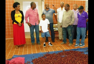 State Minister for Agriculture and  Fisheries, Hon. Luther Buchanan (2nd left), listens keenly to Chairman of the Bethel Town Agricultural Cooperative Society in Westmoreland, Ian Hill (4th left), as he gives an update on operations of the Bethel Town Sorrel factory, during a recent tour of the facility. At 2nd right is Chief Executive Officer of the Rural Agricultural Development Authority (RADA), Lenworth Fulton.