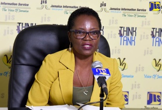 Chief Technical Director with responsibility for Water, Works and Housing in the Ministry of Economic Growth and Job Creation, Doreen Prendergast.