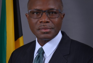 Minister without Portfolio in the Ministry of Economic Growth and Job Creation, the Hon Everald Warmington