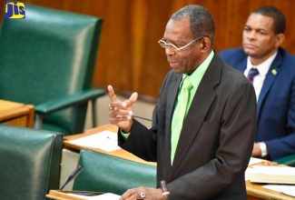 Minister without Portfolio in the Ministry of Industry, Commerce, Agriculture and Fisheries, Hon. J.C. Hutchinson, makes a point during his contribution to the 2018/19 Sectoral debate in the  House of Representatives on May 29. In the background is Member of Parliament for Eastern Hanover, Dave Brown.