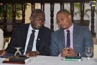 Minister of State in the Ministry of Education, Youth and Information, Hon. Floyd Green (right), converses with  Custos of St. James, Bishop the Hon. Conrad Pitkin, at a Youth Enrichment Programme consultation on crime and violence at the Sea Gardens Hotel in Montego Bay, St. James, on Thursday (June 21).
 
