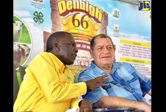 Industry, Commerce, Agriculture and Fisheries Minister, Hon. Audley Shaw ( right) listens attentively to a point being made by Jamaica Agricultural Society (JAS) President, Norman Grant, at the launch of the 66th staging of the Denbigh Agricultural, Industrial and Food Show, at the Hi-Pro Supercentre in White Marl, St. Catherine on June 15.