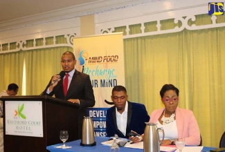 Minister of State in the Ministry of Education, Youth and Information, Hon. Floyd Green (left), addresses the Jamaica Leadership Summit held at The Knutsford Court Hotel in New Kingston on Thursday (July 19). Seated from right are Natasha and Jamar Wright of Mind Food International, which organised the event.