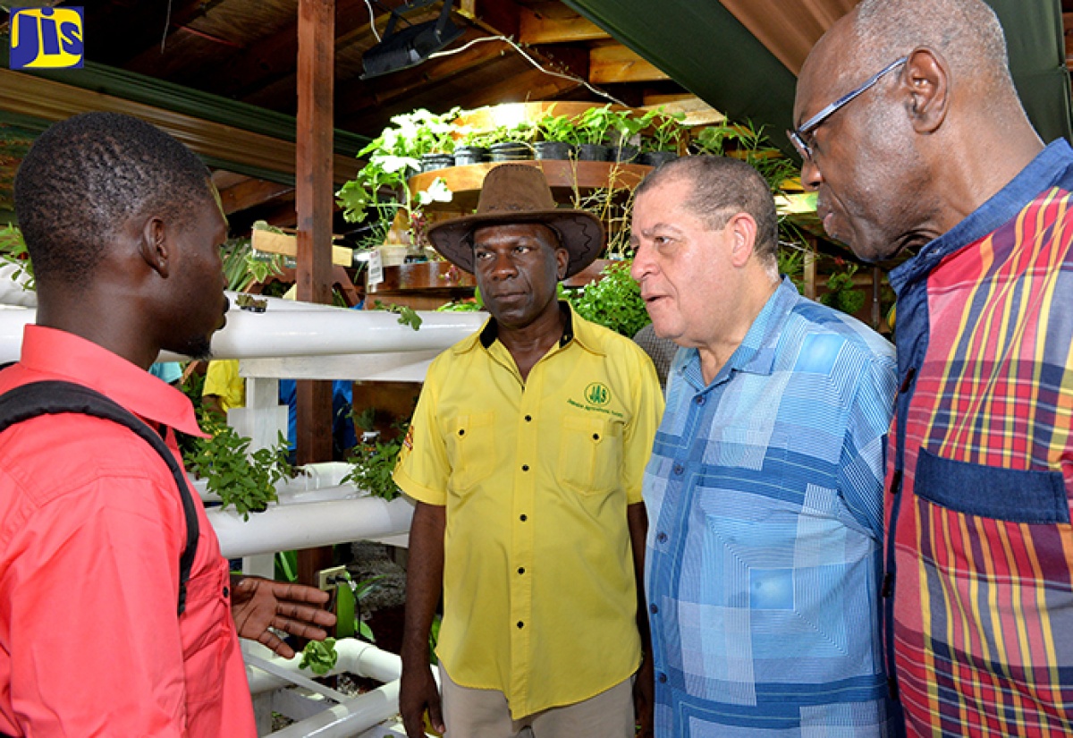 Minister of Industry, Commerce, Agriculture and Fisheries,  Hon. Audley Shaw (third left), listens to Crops Demonstrator, Ebony Park HEART Academy, Jermain Griffith (left), at the 66th staging of the Denbigh Agricultural, Industrial and Food Show at the Denbigh Showground in May Pen, Clarendon, on August 4.  Also listening (from second left) are: outgoing President, Jamaica Agricultural Society, Norman Grant, and Opposition Spokesperson on Agriculture, Dr. Fenton Ferguson.