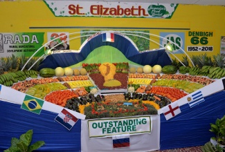 An array of fruits and vegetables on display at the St. Elizabeth parish booth, during the 66th Denbigh Agricultural, Industrial and Food Show at the Denbigh Showground in May Pen, Clarendon on August 4.