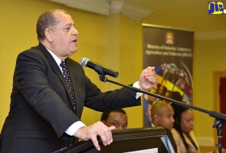 Minister of Industry, Commerce, Agriculture and Fisheries, Hon. Audley Shaw (at podium), addresses the Micro, Small and Medium-Sized Enterprise (MSME) National Policy Implementation Committee (NPIC) quarterly meeting, held at The Knutsford Court Hotel in New Kingston today (September 25). Seated (from left) are Principal Director of the MSME Division in the Ministry, Oral Shaw; Director of Projects and Programmes, Clifford Spencer, and Technical Specialist at the Planning Institute of Jamaica (PIOJ), Charmaine Brimm.