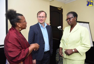 Deputy Director General of Sustainable Development and Social Planning at the Planning Institute of Jamaica (PIOJ), Claire Bernard (right), listens to  Economist and Disaster Risk Reduction Consultant, Dr. Asha Kambon (left), at a post-disaster needs assessment (PDNA) workshop, at the Courtleigh Hotel and Suites in New Kingston on September 25. At centre is United Nations Educational, Scientific and Cultural Organization (UNESCO) Programme Specialist for Culture, Yuri Peshkov.