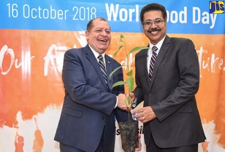 Minister of Industry, Commerce, Agriculture and Fisheries, Hon. Audley Shaw (left), handing over a fruit seedling to President, University of Technology (UTech), Professor Stephen Vasciannie, at the opening ceremony of a two-day World Food Day conference and exhibition, on Tuesday (October 16) at the University of Technology (UTech) campus in St. Andrew.