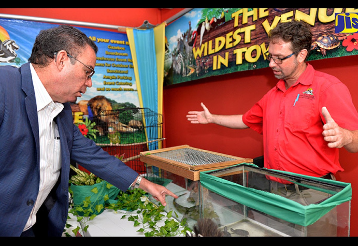 Minister without Portfolio in the Ministry of Economic Growth and Job Creation, Hon. Daryl Vaz (left), speaks with Curator, Hope Zoo, Milton Rieback about a Jamaican iguana, which is among the most endangered species of animals. The Minister was visiting various booths set up at the inaugural National Biodiversity Conference at the Spanish Court Hotel in New Kingston on Wednesday (October 17).