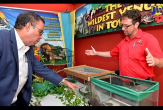 Minister without Portfolio in the Ministry of Economic Growth and Job Creation, Hon. Daryl Vaz (left), speaks with Curator, Hope Zoo, Milton Rieback about a Jamaican iguana, which is among the most endangered species of animals. The Minister was visiting various booths set up at the inaugural National Biodiversity Conference at the Spanish Court Hotel in New Kingston on Wednesday (October 17).