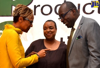 Minister of Education, Youth and Information, Senator the Hon. Ruel Reid (right), listens to the Inter-American Development Bank (IDB) Caribbean Country Department General Manager, Therese Turner-Jones (left), at a Productivity and Continuous Improvement Conference, which was held at The Jamaica Pegasus hotel in New Kingston on Wednesday (October 24).  At centre is Managing Director, Make Your Mark Consultants, Jacqueline Coke-Lloyd. 