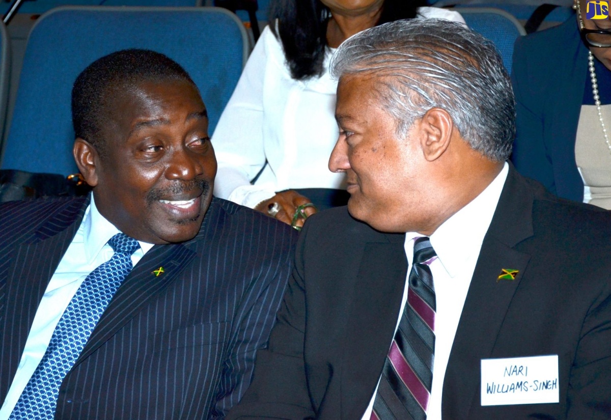 Discussions Under Way for Aviation School in Jamaica