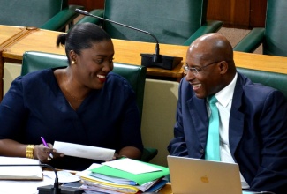 Senators, Kerensia Morrison (left) and Aubyn Hill, speaking during the sitting of the Senate on Friday (February 8) in Gordon House.