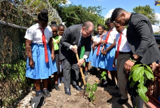 Industry, Commerce, Agriculture and Fisheries Minister, Hon. Audley Shaw (centre), plants a sweet pepper tree at the official launch of ‘Mission Food Possible’, at the St. John’s Primary School in St. Catherine, on February 1. At right is Founder of the programme, Peter Ivey.