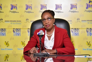 Director of Technical Services at the HAJ, Rosemarie Brown, addresses JIS ‘Think Tank’.