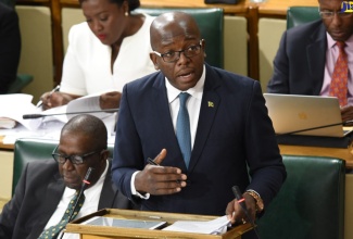 •	Minister without Portfolio in the Ministry of Economic Growth and Job Creation, Senator the Hon. Pearnel Charles Jr.,  highlights a point while piloting the Food Storage and Prevention of Infestation (Amendment) Act, in the Senate on Friday (April 26). Seated at left is  Government Senator, Ransford Braham. In the background (from left) are: Kerensia Morrison,  and Deputy President of the Senate,  Aubyn Hill.

