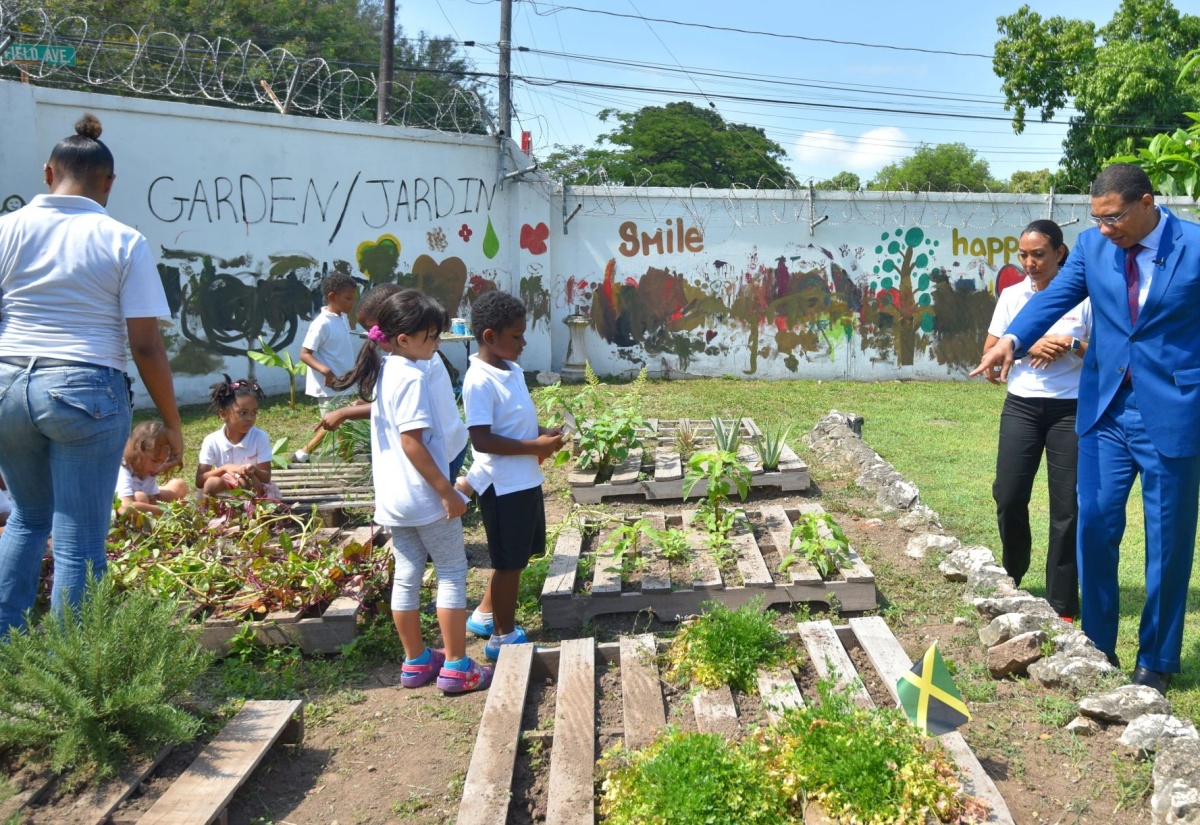 PM Visits Fundaciones