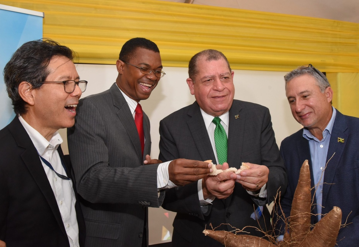 Minister of Industry, Commerce, Agriculture and Fisheries, Hon. Audley Shaw (second right), symbolically ‘breaks bread’ with a sample of Consolidated Bakeries (Jamaica) Limited’s new Purity gluten-free line. The launch was held on Wednesday (June 19) at the bakery’s Valentine Drive address in Kingston. Others (from left) are Managing Director, Consolidated Bakeries (Jamaica) Limited, Anthony Chang; Attorney-at-Law, Arnaldo Brown, and President, Jamaica Manufacturers and Exporters’ Association (JMEA), Metry Seaga. 