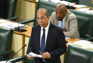 National Security Minister, Hon. Dr. Horace Chang, addresses the House of Representatives on July 23 about the ZOSOs in Denham Town and Mount Salem.  With the Minister is State Minister in the Ministry,  Hon. Rudyard Spencer.