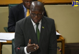 Minister without Portfolio in the Ministry of Economic Growth and Job Creation, Senator the Hon. Pearnel Charles Jr.