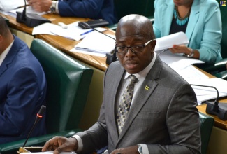 Minister with Portfolio in the Ministry of Economic Growth and Job Creation, Senator the Hon. Pearnel Charles Jr.