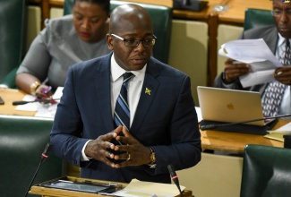 Minister without Portfolio in the Ministry of Economic Growth and Job Creation, Senator Hon. Pearnel Charles Jr, moves the Pensions (Superannuation Funds and Retirement Schemes) (Investment) (Amendment) Regulations, 2019 in the Upper House on Friday (Aug. 2).
 
