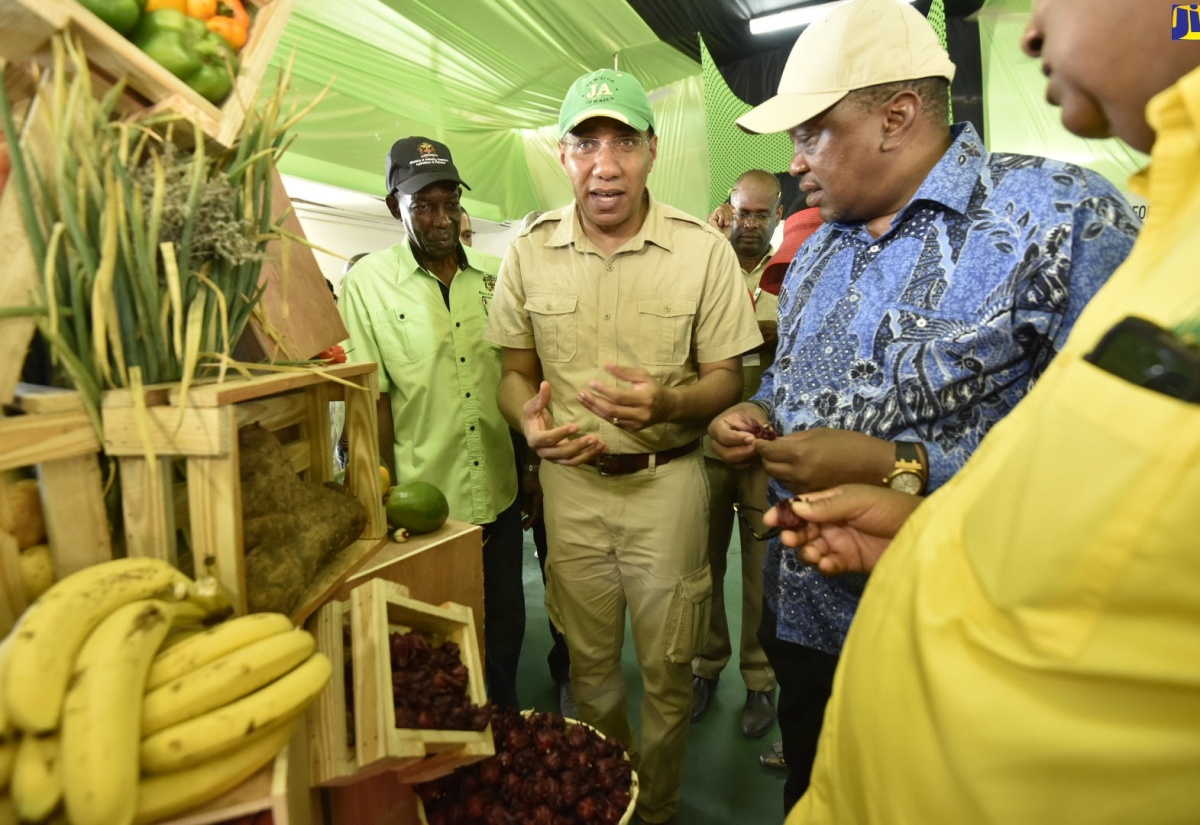 The Cockpit Country: An Environmental, Cultural and Historical Asset – PM Holness