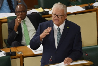 Minister without Portfolio with responsibility for Education, Youth and Information, Hon. Karl Samuda, addresses the House of Representatives on July 31.