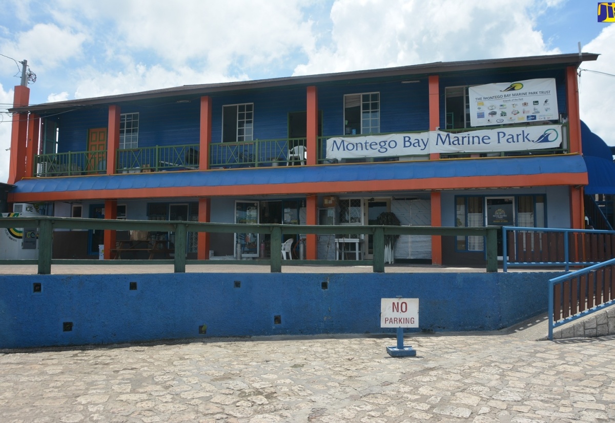 Montego Bay Harbour Much Cleaner